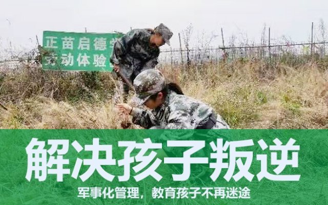 叛逆期孩子的教育(對叛逆期的孩子應(yīng)該怎樣