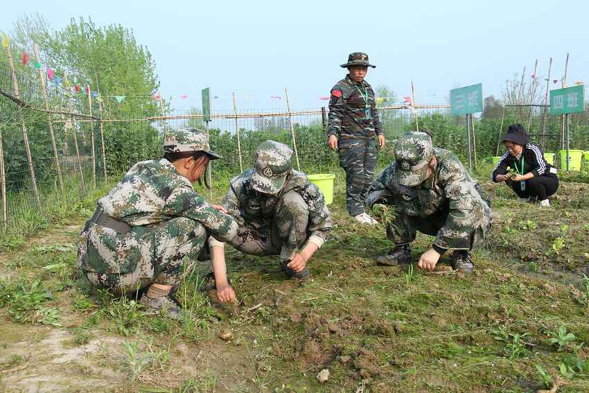 初中厭學(xué)怎么辦，從哪些原因來分析(圖2)